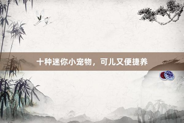 十种迷你小宠物，可儿又便捷养